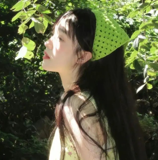 淑女痴恋
